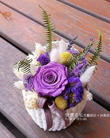 不凋花 (2).jpg