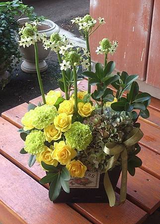 盆花 (1).jpg