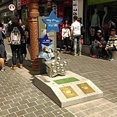 10431702_1114194405273609_2826730693753094013_n.jpg