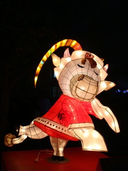 DSC03481.JPG