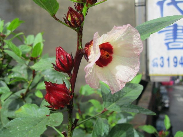照片 103.jpg