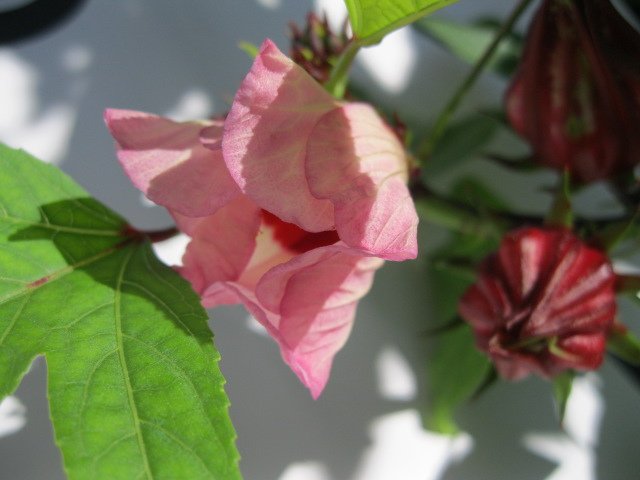 照片 139.jpg