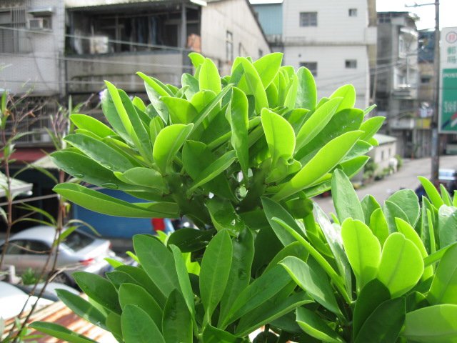 照片 179