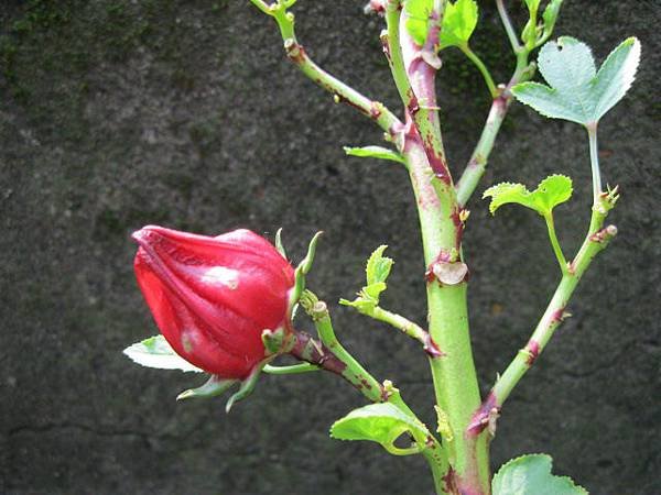照片 180