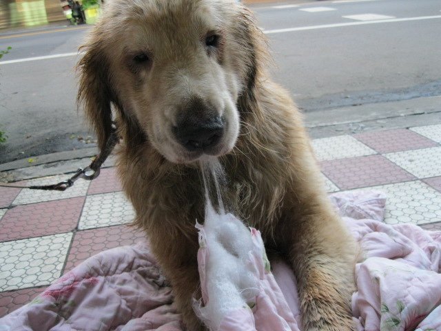 照片 225.jpg