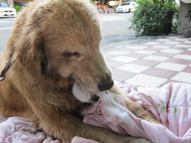照片 226.jpg