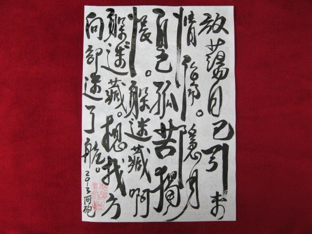 照片 338