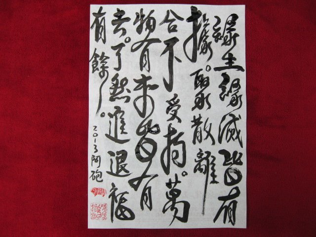 照片 339
