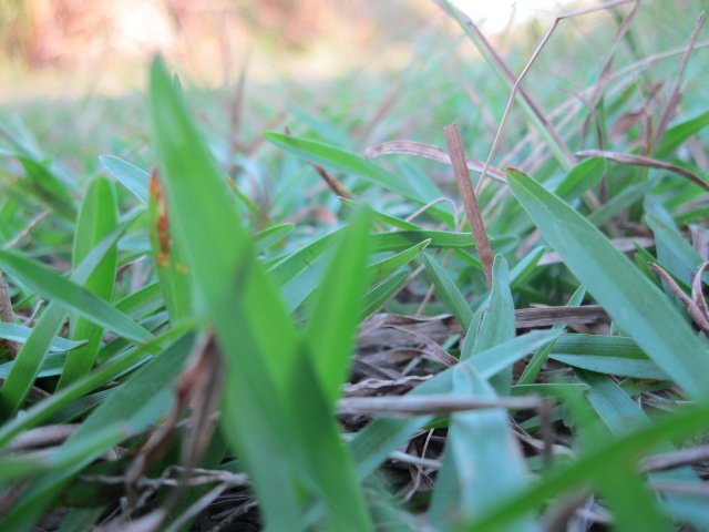 照片 391.jpg