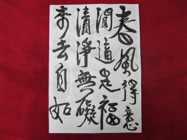 照片 439