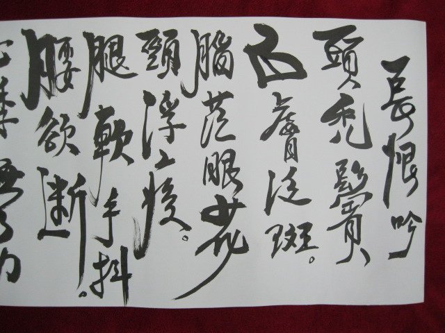 照片 513