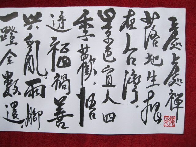 照片 516