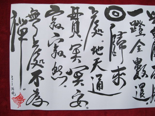 照片 517