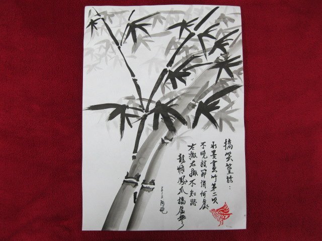 照片 604