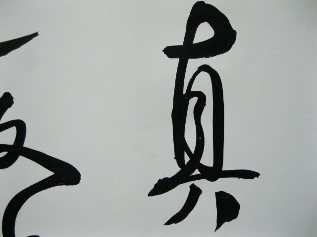 照片 665