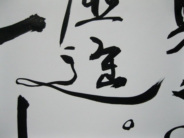 照片 664