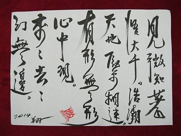 照片 1316