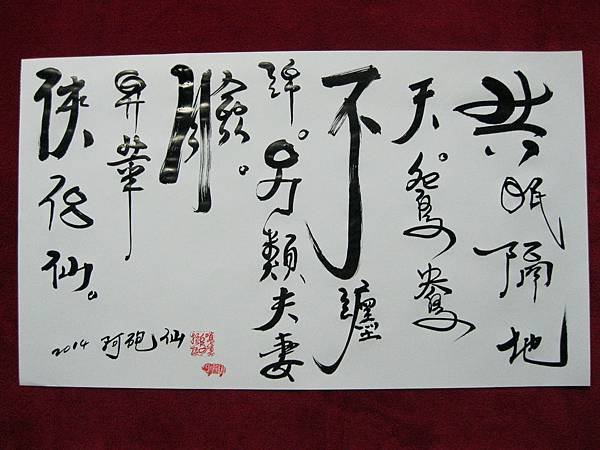 照片 1419