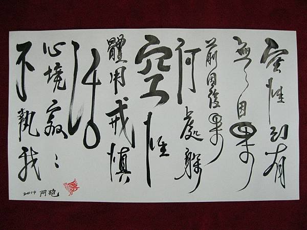 照片 1428