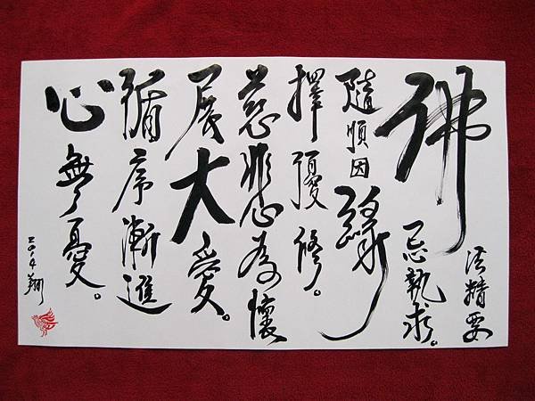 照片 1433