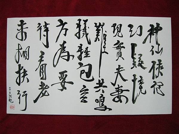照片 1435
