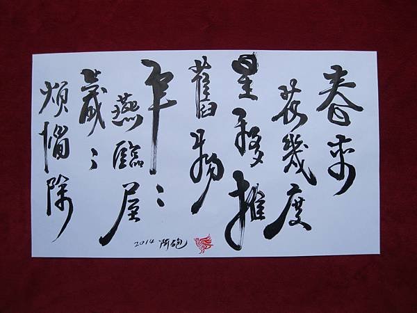 照片 1570