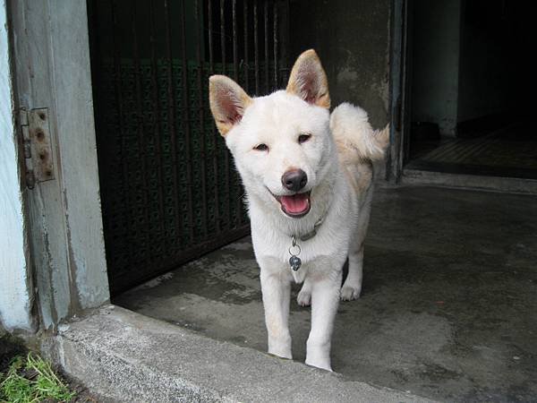 照片 2304.jpg
