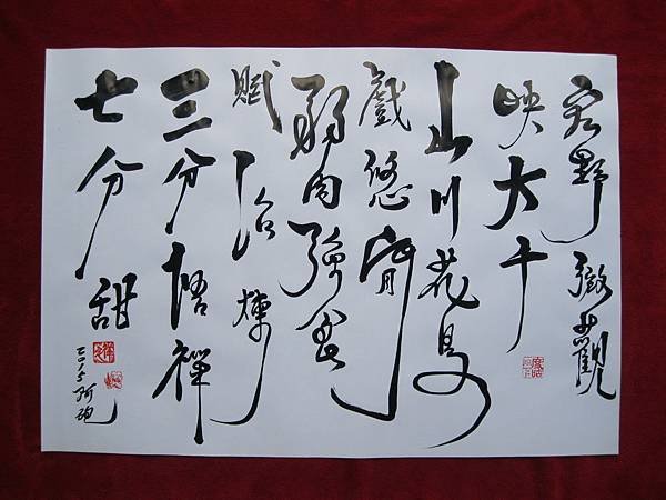 照片 4242