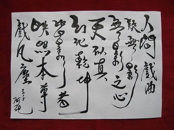 照片 4245