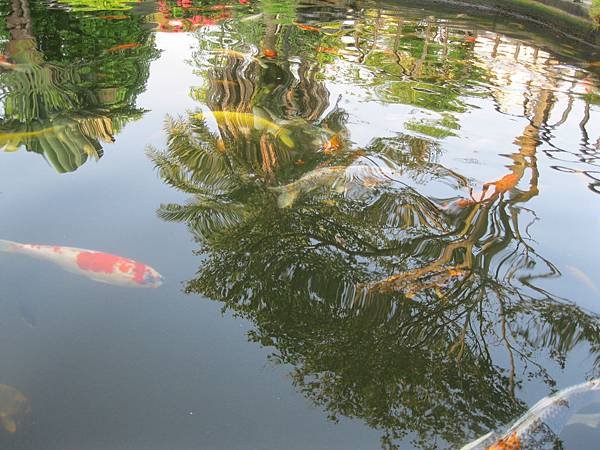 照片 4290.jpg