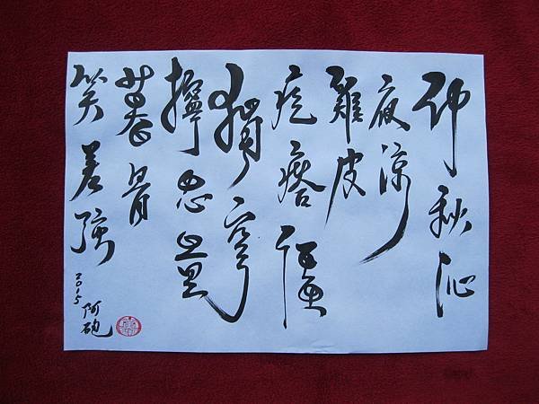 照片 4464