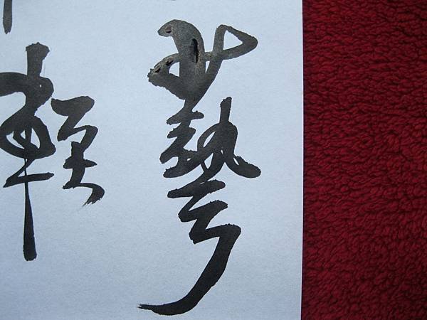 照片 4469.jpg