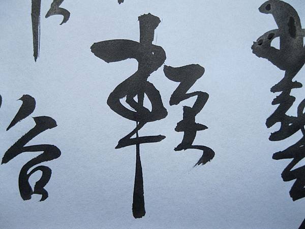 照片 4472.jpg