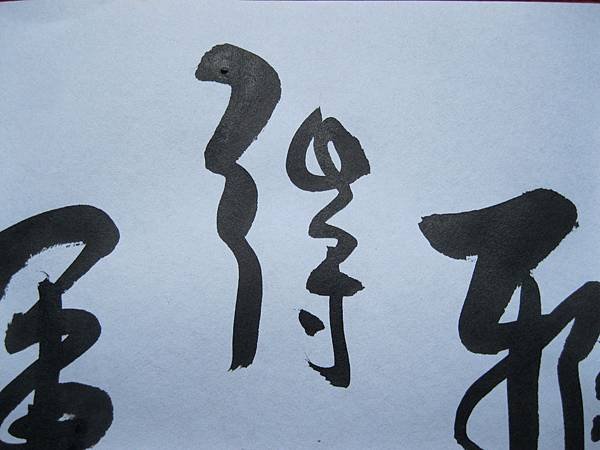 照片 4476.jpg