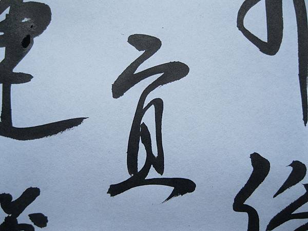 照片 4477.jpg