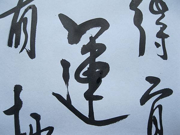 照片 4478.jpg