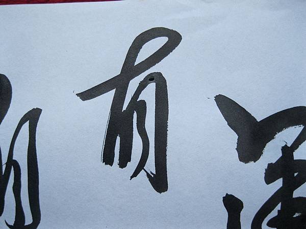 照片 4480.jpg