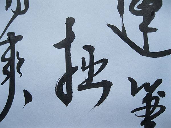 照片 4481.jpg