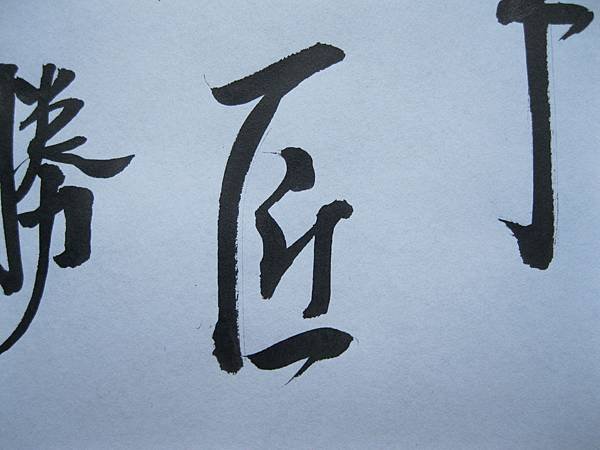 照片 4482.jpg