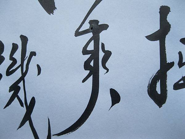 照片 4484.jpg