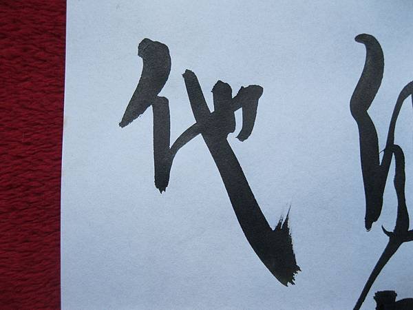 照片 4486.jpg