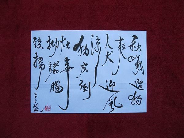 照片 4508.jpg