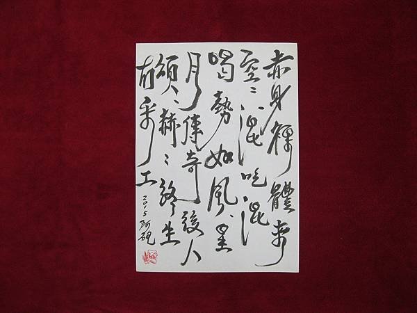 照片 065