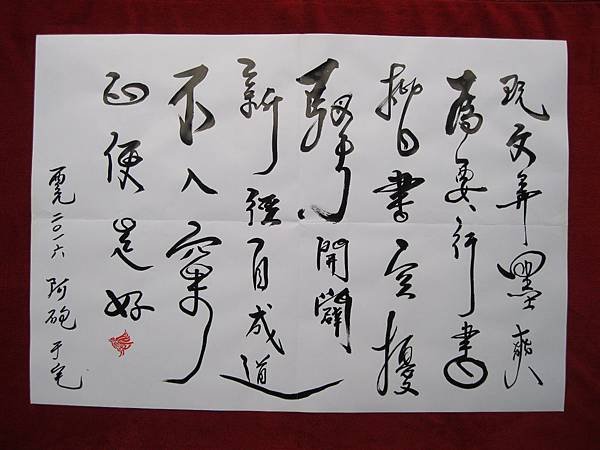 照片 193
