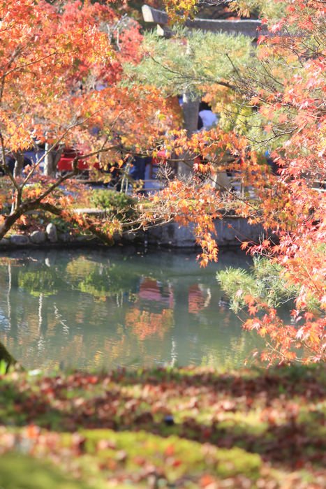 IMG_0942.jpg