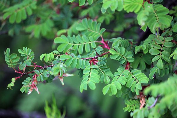 IMG_9746.jpg