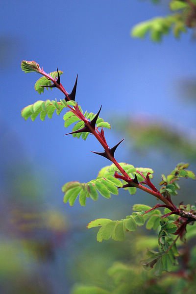 IMG_9745.jpg