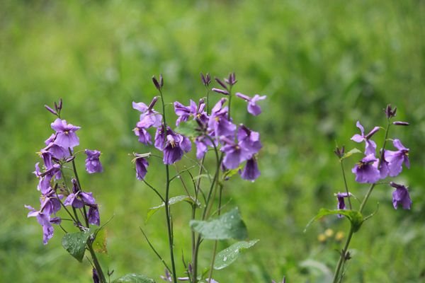 IMG_7058.jpg