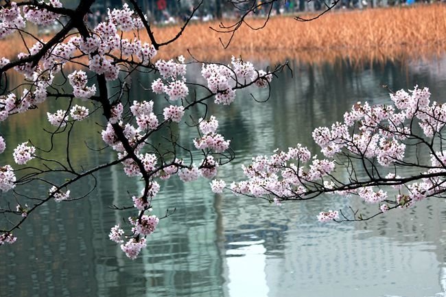 IMG_6675.jpg