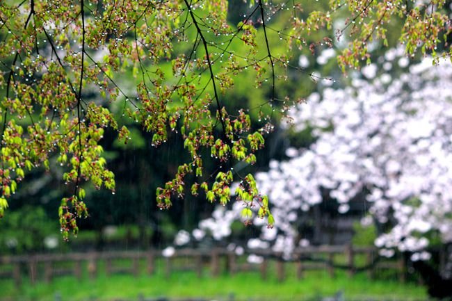 IMG_7023_副本.jpg